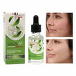 2 Pack Moisturizing Green Tea Extract Lightening Tightness Repair Facial Serum